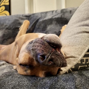 Fundraising Page: Jeremiah Heller